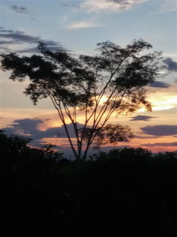C&H Casa Campestre El Oasis Ricaurte Girardot Panzió Kültér fotó