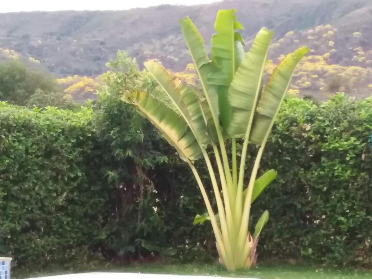C&H Casa Campestre El Oasis Ricaurte Girardot Panzió Kültér fotó